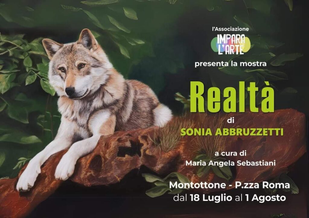 Realtà di Sonia Abruzzetti
